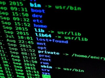 Shell Scripting / Programming Languages
